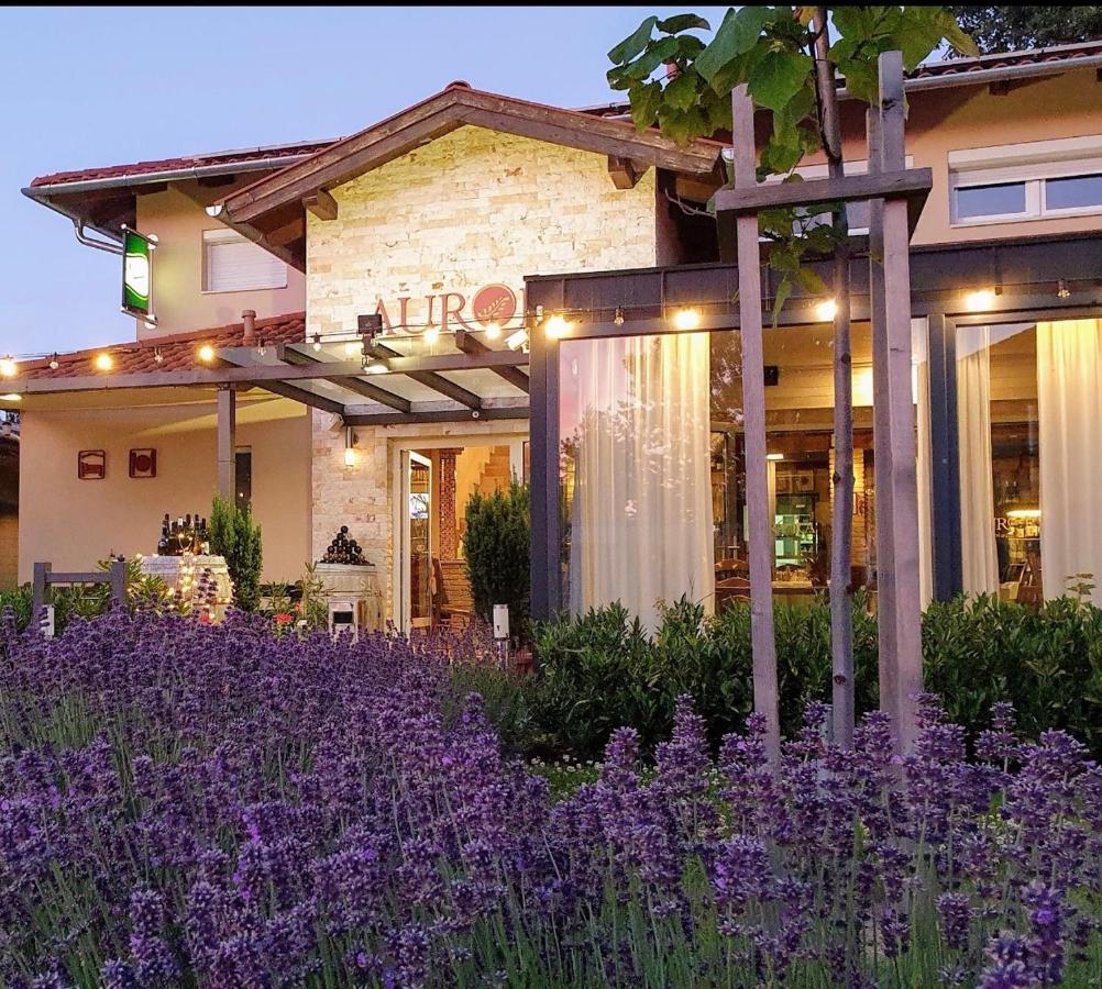 Bük Aurora Panzio B&B 외부 사진